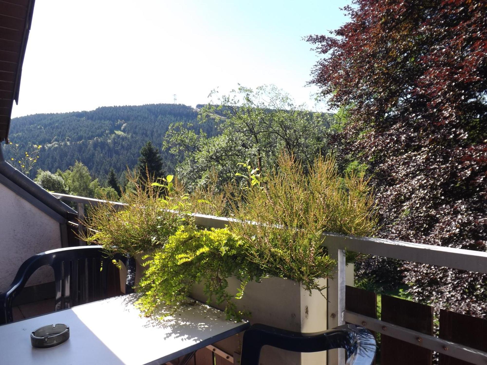 Residenz Bocksberg-Blick & St. Florian Villa Goslar Eksteriør bilde